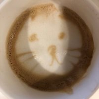 Akaaha (@akaaha1_o) 's Twitter Profile