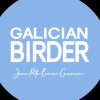 Galician Birder(@GalicianBirder) 's Twitter Profile Photo