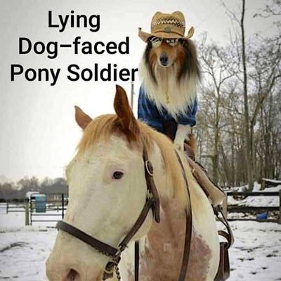 jams35315085's profile picture. widowed, freedom loving, patriot. 2020 was rigged