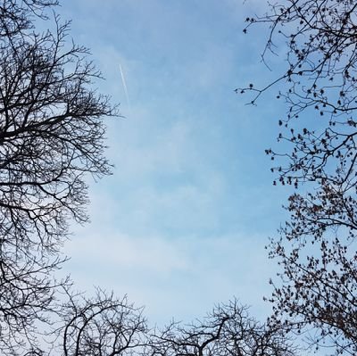 QUERENCIAin's profile picture. 여전히 '나'에 대해 관심이 많습니다. 그리고 세상에도 내 관심을 나누려 노력중입니다.