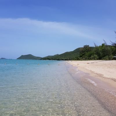 cheese_alpes's profile picture. 