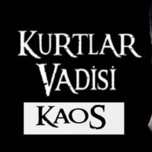 KurtlarVadisiKs Profile Picture