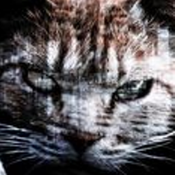 tp2004tw's profile picture. 