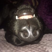 Chris Skinner (@cggskinner) 's Twitter Profile