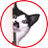 nyan_phoo5