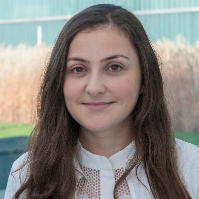 Anca T. Godoi-Filip Profile