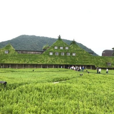 施工管理から構造設計を目指してます!
R3年一級建築士試験受けます!
同じよう経験をした方ご教授ください!!