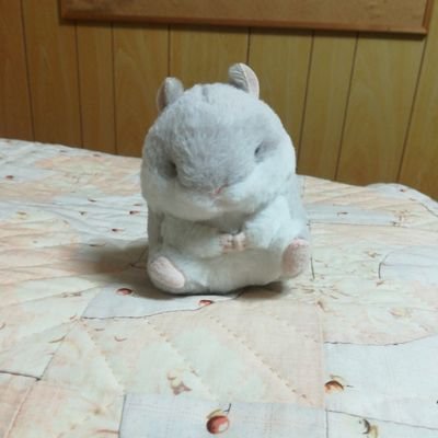 iUPaCwEbrdMLXdk's profile picture. 