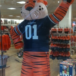 GRAMPSEHRLICH's profile picture. 