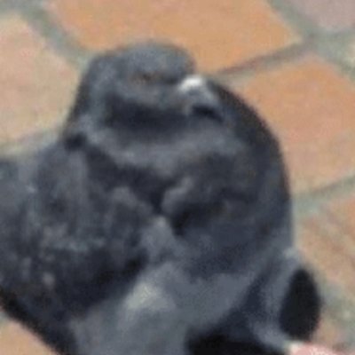 .さんのプロフィール画像