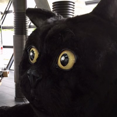 教育関係の仕事してます。鍵アカさん相互でお願い。リツイートのみ、交流ない方はブロ解しますことご了承下さい。たまに間違えてブロ解してるので（すみません）その時はフォロー申請をお願いします。
