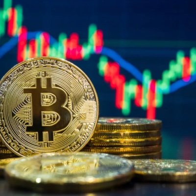 ZHOfficial3's profile picture. Crypto is Life.  Buy and HODL