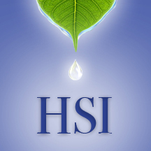 Do you want to learn about a body-friendly and non-invasive healing system? Homeopathy!  HSI offers courses worldwide for personal use or professional practice.