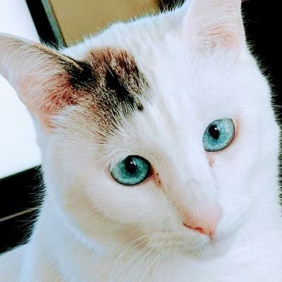 ヘーイさんのプロフィール画像