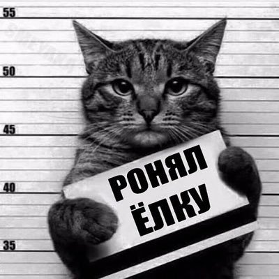 demidenkvlamai1's profile picture. 