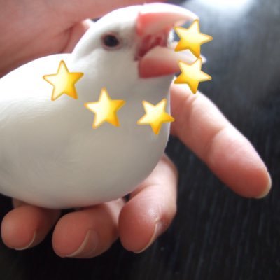 あるちゅさんのプロフィール画像