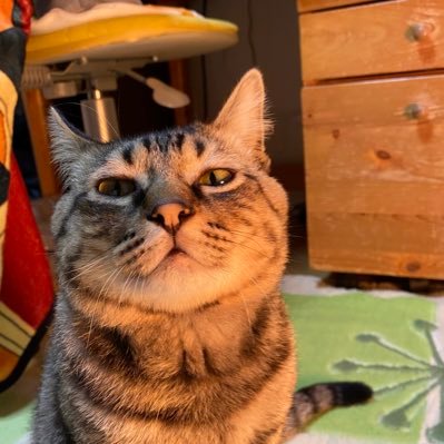 もいもいさんのプロフィール画像