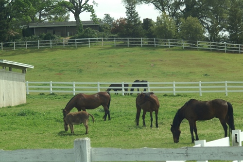 Providing an avenue whereby farms, ranches and rural properties can be matched to buyers looking for those properties, all over the United States.