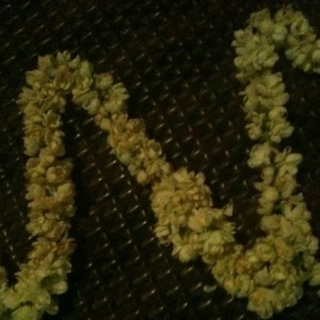 Noor_Al_R's profile picture. 