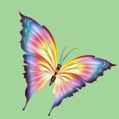 Butterfly11さんのプロフィール画像