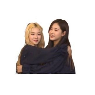 hyewon__tiny's profile picture. for loona's soulmates #혜주 & #채원.

– tag @hyewon__tiny for a random hyewon pic 🐺🦋