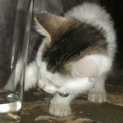 ujustwatch's profile picture.