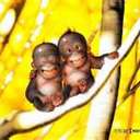 billy miles - @billymilesman - Twitter