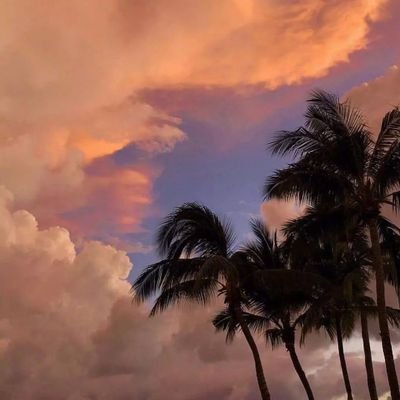 M6q5mFlfuW0wyrQ's profile picture. 