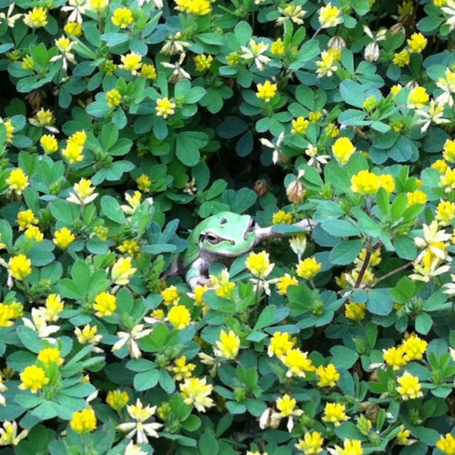 solidice60's profile picture. 