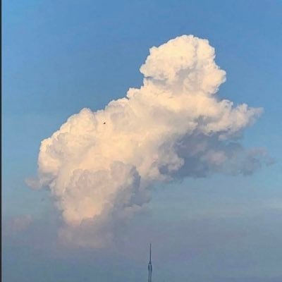 terevaldb's profile picture. 