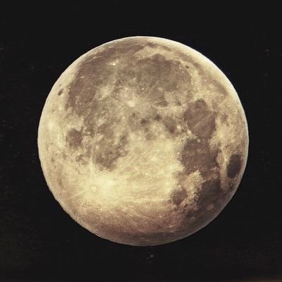 Ereb21734969's profile picture. Nous sommes partout et nous venons pour la Vérité et la Liberté 
 Orwell en rêvait, Pfizer l à fait