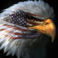 Hovde (@brhovde) 's Twitter Profile