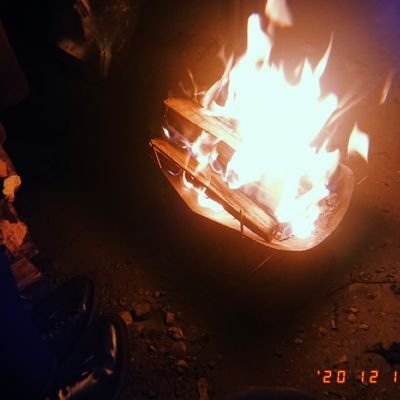 1_attack25's profile picture. 夜と雨と道草と魚とサカナ まいにち邦ロック