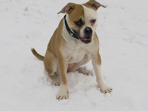 miss_daiwa's profile picture. 