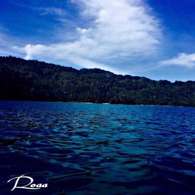 sahafiroaa's profile picture. Less about me, more about staying informed.