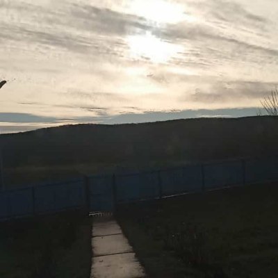 StripeStar2's profile picture. Official Warrior Cats Romania