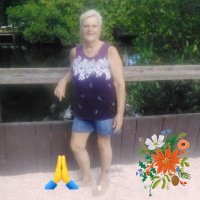 Carol Haley - @CarolHa22242528 Twitter Profile Photo