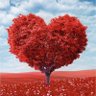 susi38532167's profile picture. #think different, internal medicine, diabetologist ,nutrition, auf dem Boden der Schulmedizin #Landarzt #microbiome #brainfunction #listentoyourpatients #gut