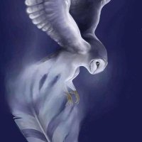 SteamOwl (@steam0wl) Twitter profile photo