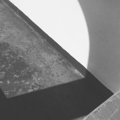 saneats21's profile picture. 成人済／🤍💜／🐯🌸