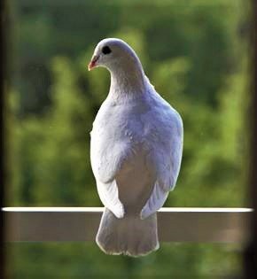 Eddy89099604's profile picture. Theologie, fotografie, literatuur, (kerk)geschiedenis, klassieke muziek, actualiteit.