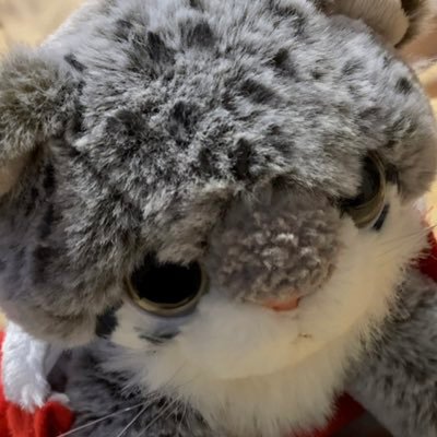 vo19uBDNibJZqJ1's profile picture. ただただ、毎日カレーを食するヌコ族