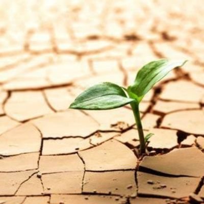 Petergimenez6's profile picture. Interest in sciences.