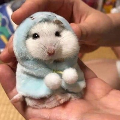 dd_mk2291's profile picture. หยุดจ้วบจ้าบนะ!!!