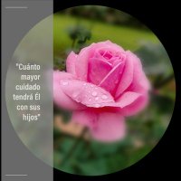 cuestionador (@jacomoossa) 's Twitter Profile