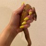 BallBloom19's profile picture. 東京多摩地区初のボールパイソンブリーディング店🐍 ご希望のモルフ承ります😊 大切に育てているボールパイソン、大切に育てて頂ける方のみにお渡ししています😊 当面は完全予約制にて営業。 お問い合わせはDMもしくはお電話でお願いします。 第103095号 販売 保管 TEL080-5031-1991