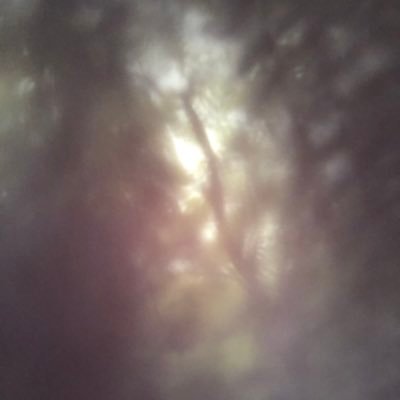 zL9uh0kXiYvMBjj's profile picture. ホットマイケルジャクソン