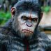APES & FRENS (@apesandfrens) Twitter profile photo APES & FRENS (@apesandfrens) Twitter profile photo