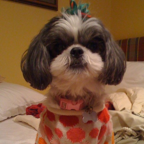 nlnbabe's profile picture. 