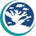 Reef Renewal USA (@renewalusa) Twitter profile photo Reef Renewal USA (@renewalusa) Twitter profile photo